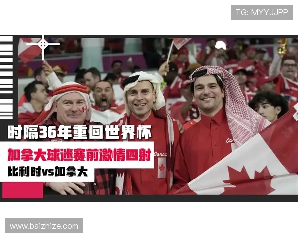 CCTV世界杯女主持风采与幕后故事全解析荧屏魅力与成长之路